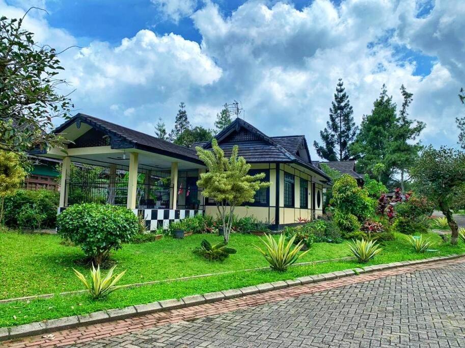 Designer Villa Osaka 普卡 外观 照片