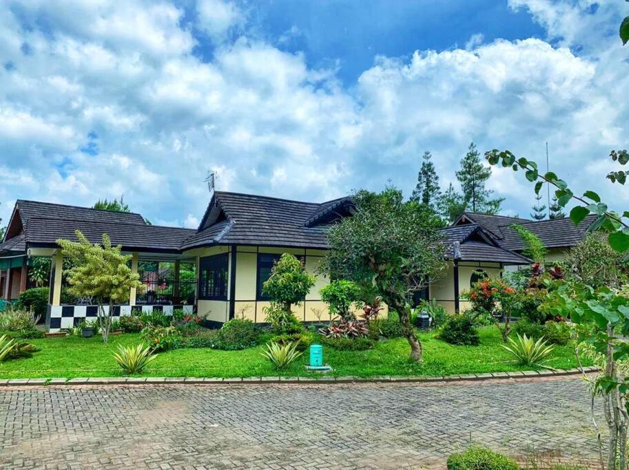 Designer Villa Osaka 普卡 外观 照片