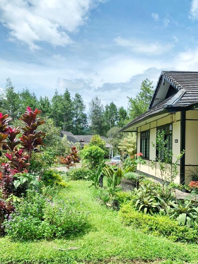 Designer Villa Osaka 普卡 外观 照片