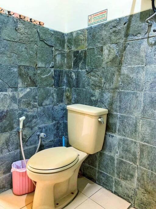 Designer Villa Osaka 普卡 外观 照片